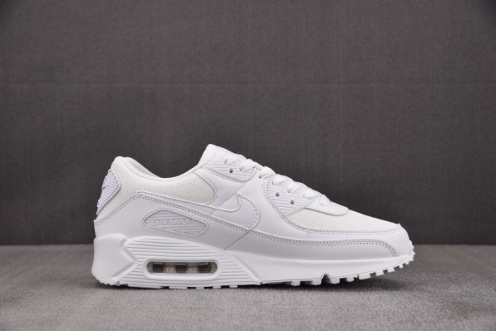 Nike Air Max 90 